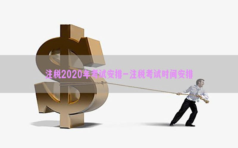 注税2020年考试安排-注税考试时间安排