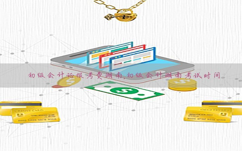 初级会计证报考费湖南，初级会计湖南考试时间