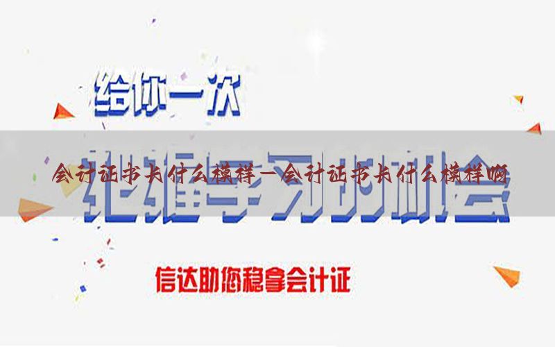 会计证书长什么模样-会计证书长什么模样啊