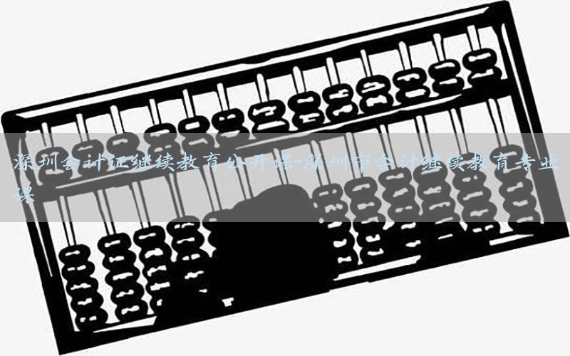 深圳会计证继续教育公开课-深圳市会计继续教育专业课