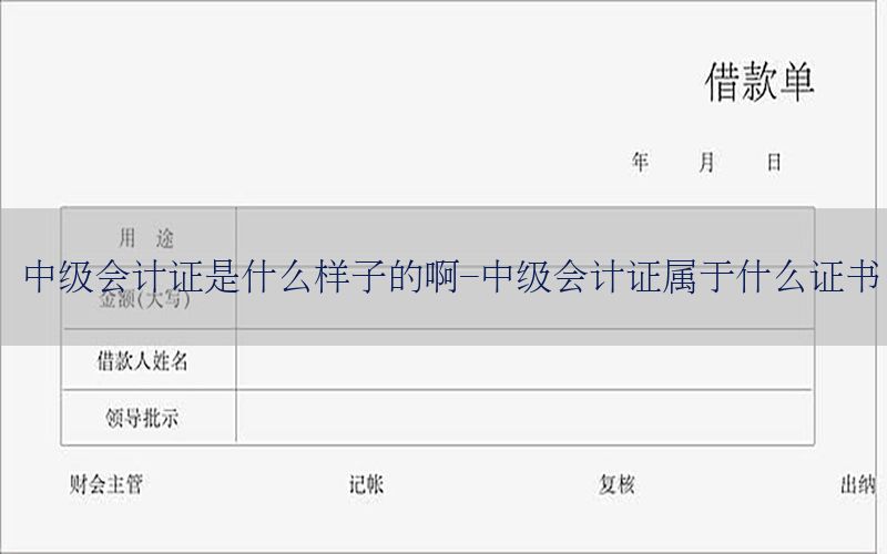 中级会计证是什么样子的啊-中级会计证属于什么证书