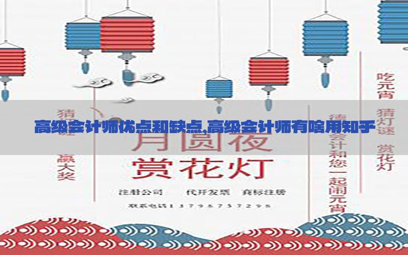 高级会计师优点和缺点，高级会计师有啥用知乎